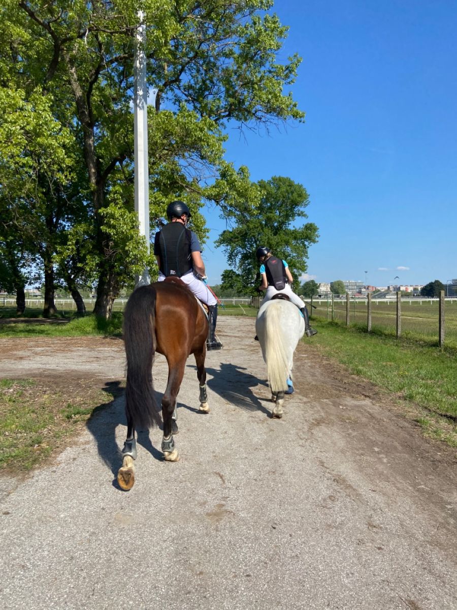 Şile At Binicilik ATBİNTUR