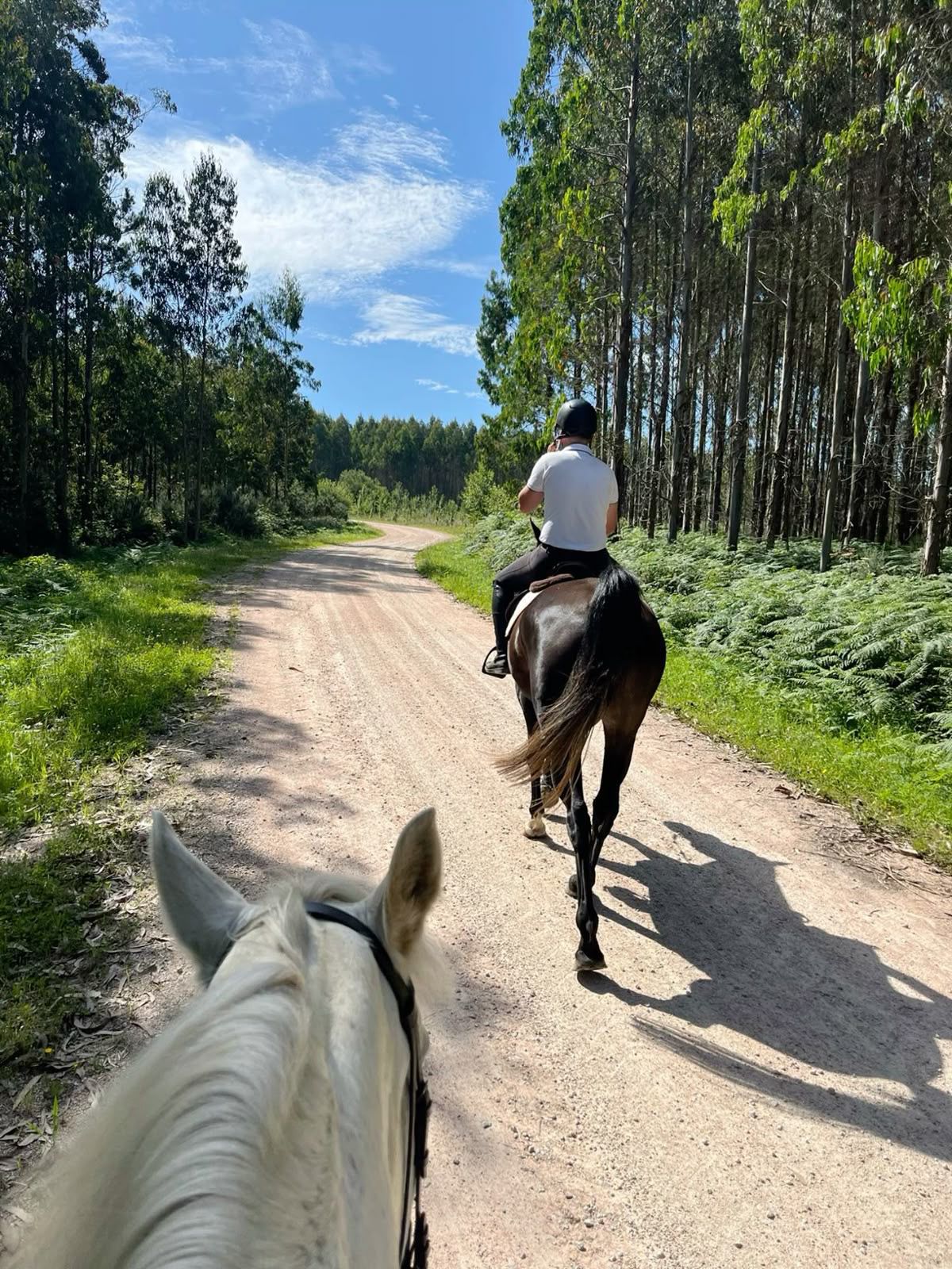 Şile At Binicilik ATBİNTUR